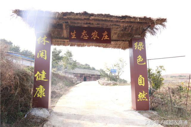 苦守荒山数十载，宝剑锋从磨砺出！