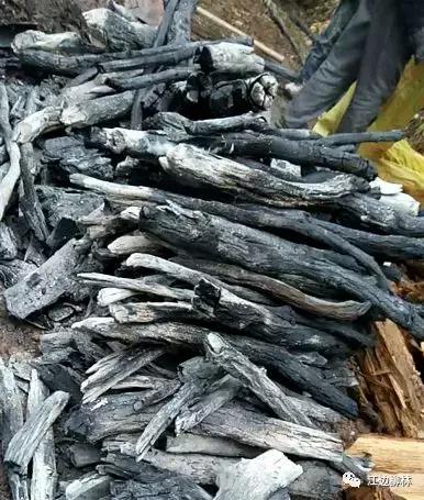 湘西地区土法烧炭,湘西木炭烧制