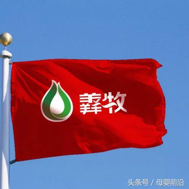 杨立新为何要抛弃9年初恋潘小雅,杨立新帮助杨玏