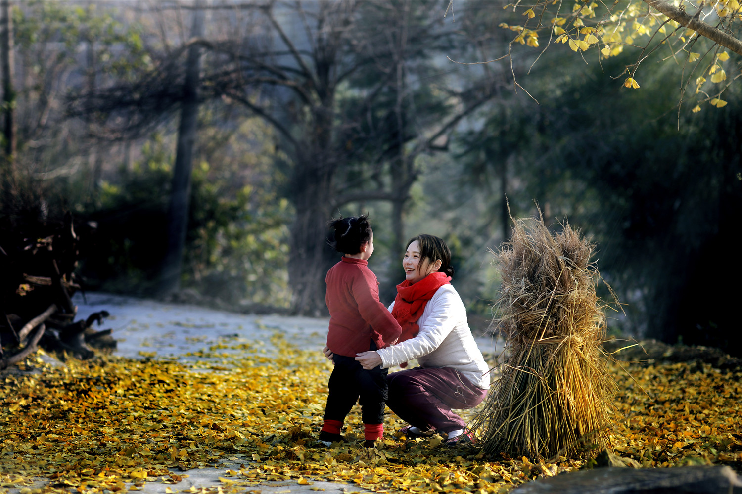 湘西龙脉风水传说,湘西龙山龙脉风水宝地