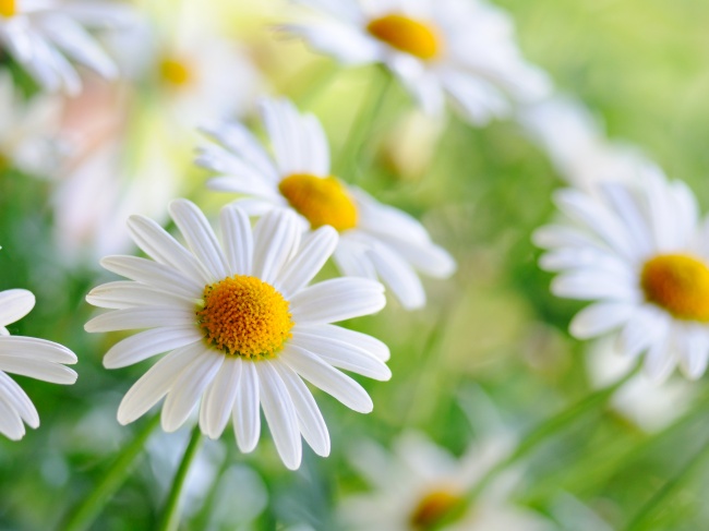 爱情美文柴米油盐,婚姻柴米油盐的美文