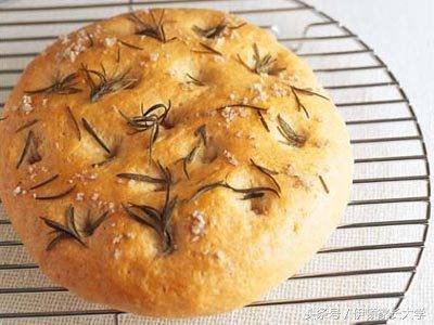 旅行青蛙最喜欢吃哪个食物,旅行青蛙都爱吃什么