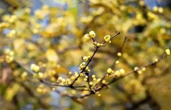 郑州冬天带小孩适合去哪里玩,郑州冬天到内蒙自驾游最佳路线