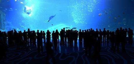 宁波gdp破万亿,2022下一个万亿城市