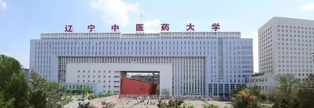 沈阳排名前十的大学在国内的排名,沈阳市大学排行榜2007