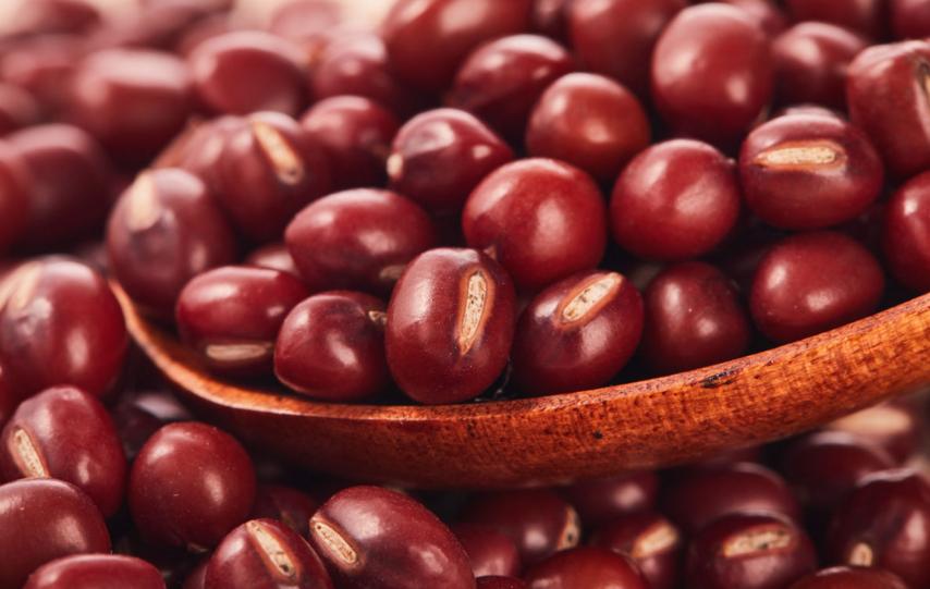 顾城的门前读诗,顾城的经典诗句感悟