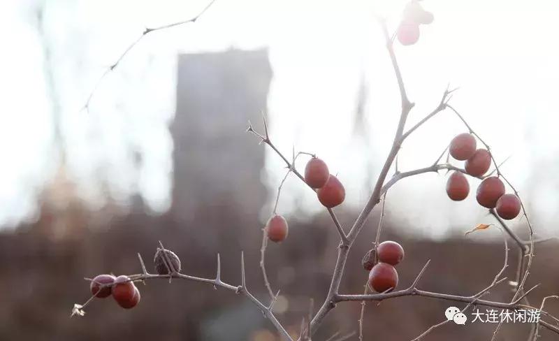 大连古山长城,震惊世界的中国地下长城