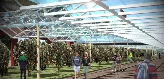 在超市养猪，屋顶办农场，新零售鼻祖Eataly搞大手笔了！