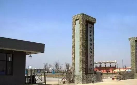 沈阳排名前十的大学在国内的排名,沈阳市大学排行榜2007