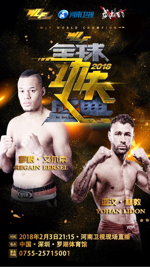 武林风终极盛典冠军,武林风罗根阿隆索对阵方便