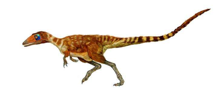 十大最著名的恐龙,盘点我国最著名的十大恐龙