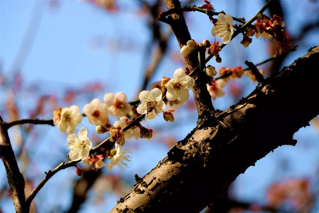 福利丨粤北越北，风景更美，邀你到丹霞灵溪过个红红火火东北年