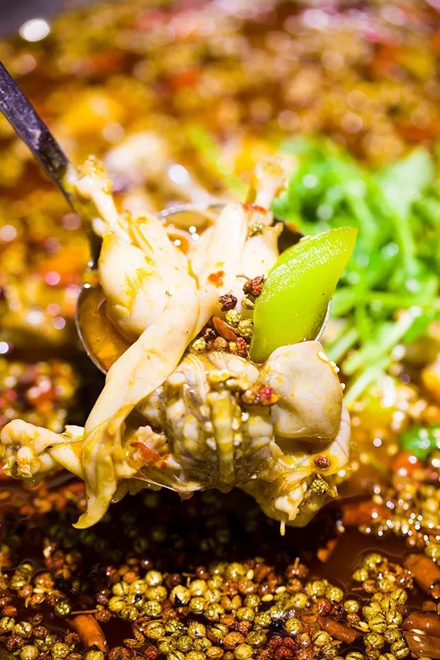 别再问你的蛙儿子去哪了？无锡这8家店告诉你答案！