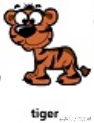 30个动物英语单词视频,动物的英语单词常见100个