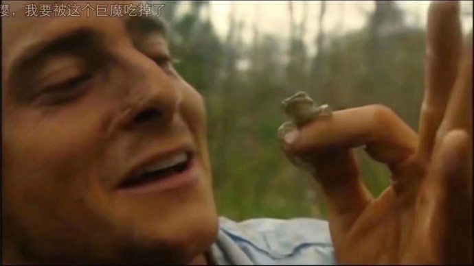 你不知道的佛系蛙隐藏生活模式，需要购买这个道具