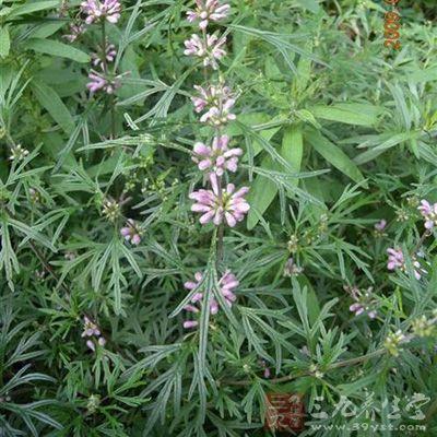 常规血液检查项目报告单,血液常规检查的实验原理