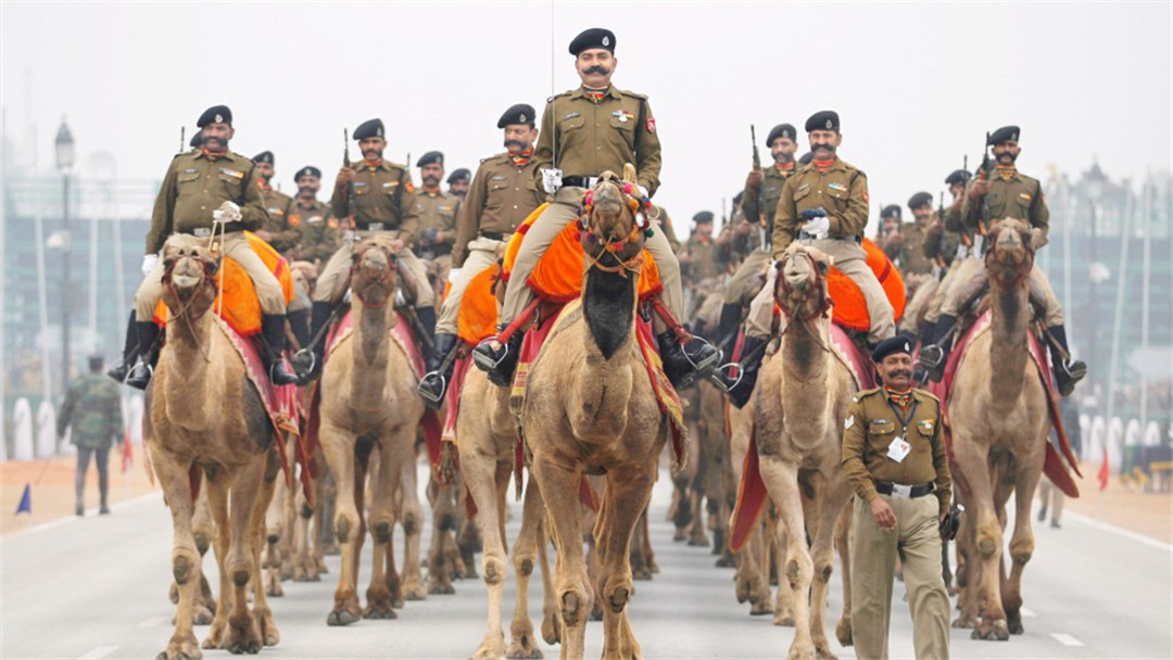 印度举行建军节阅兵,印度举行阅兵仪式