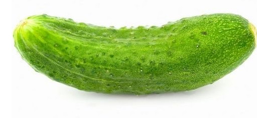 关于黄瓜，有哪些你不知道的秘密！跟随小编一起来看看吧！