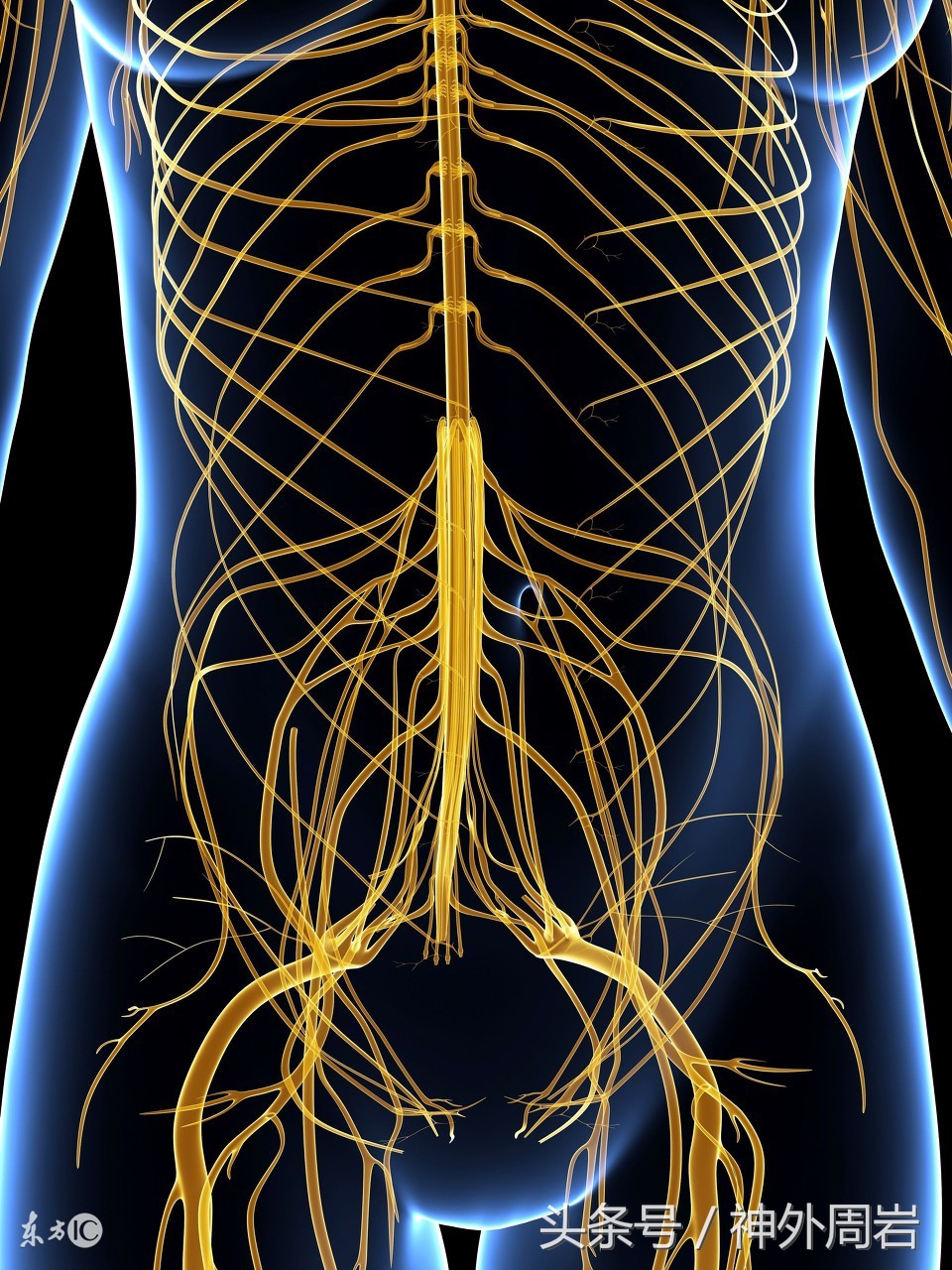 婴幼儿腰骶部有包块，这是神经疾病，会造成致命性的肾损害