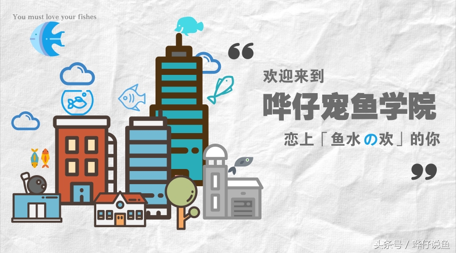 快打住！开水族店的这个念头就此打住，你把这件事想得太简单了！