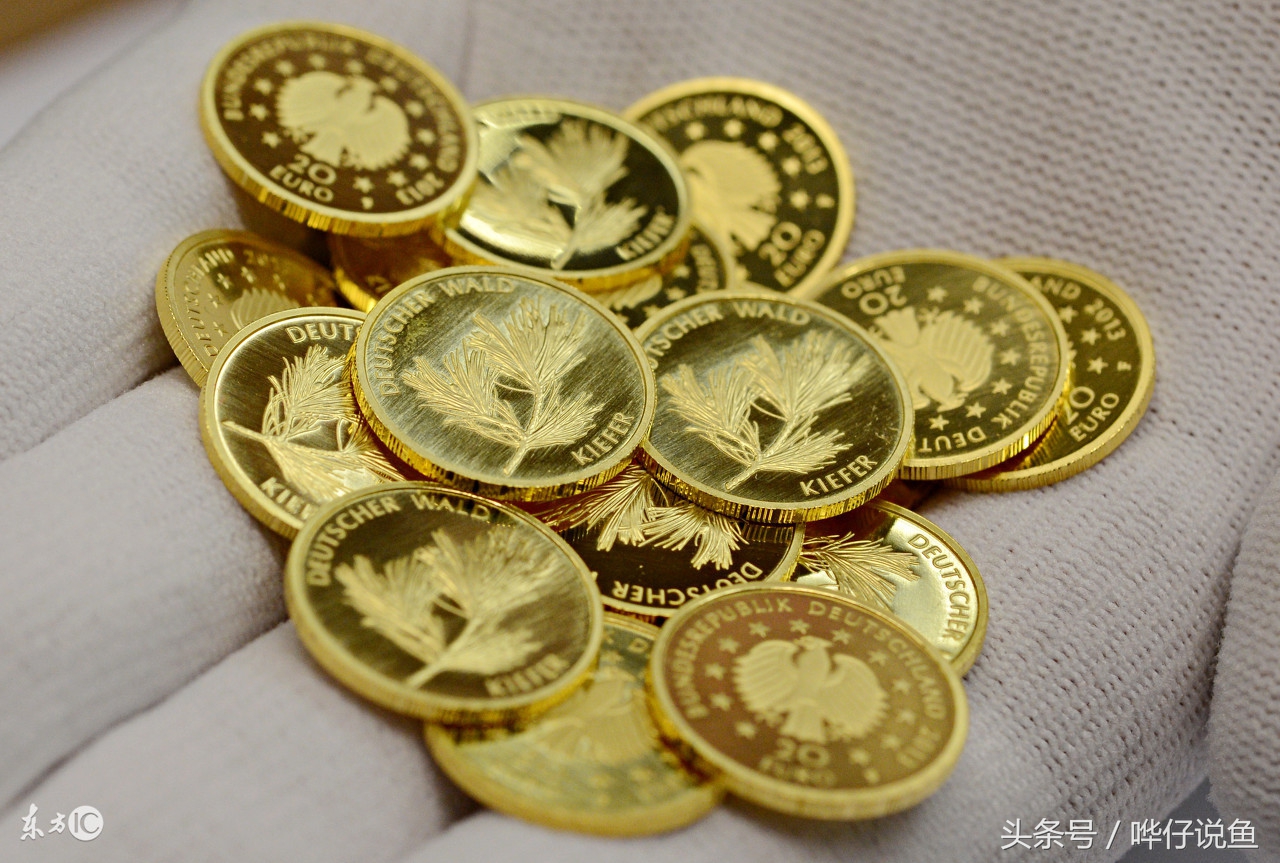 快打住！开水族店的这个念头就此打住，你把这件事想得太简单了！