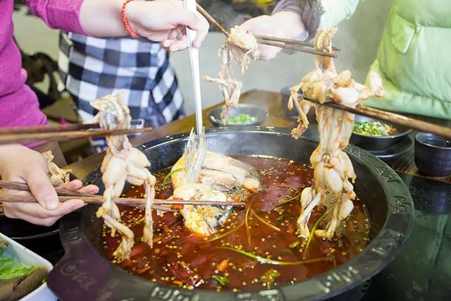 别再问你的蛙儿子去哪了？无锡这8家店告诉你答案！