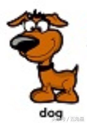 30个动物英语单词视频,动物的英语单词常见100个