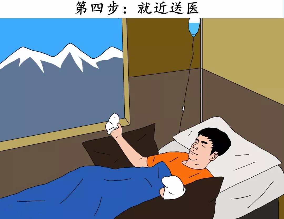 菜鸟日记在线观看,菜鸟日记最新版