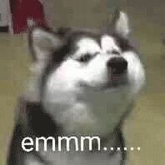 最好的冰是什么冰,最好的冰