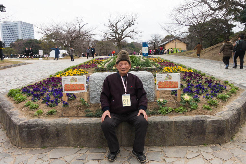 邮轮旅游的魅力,探秘邮轮旅游的奢华与实惠