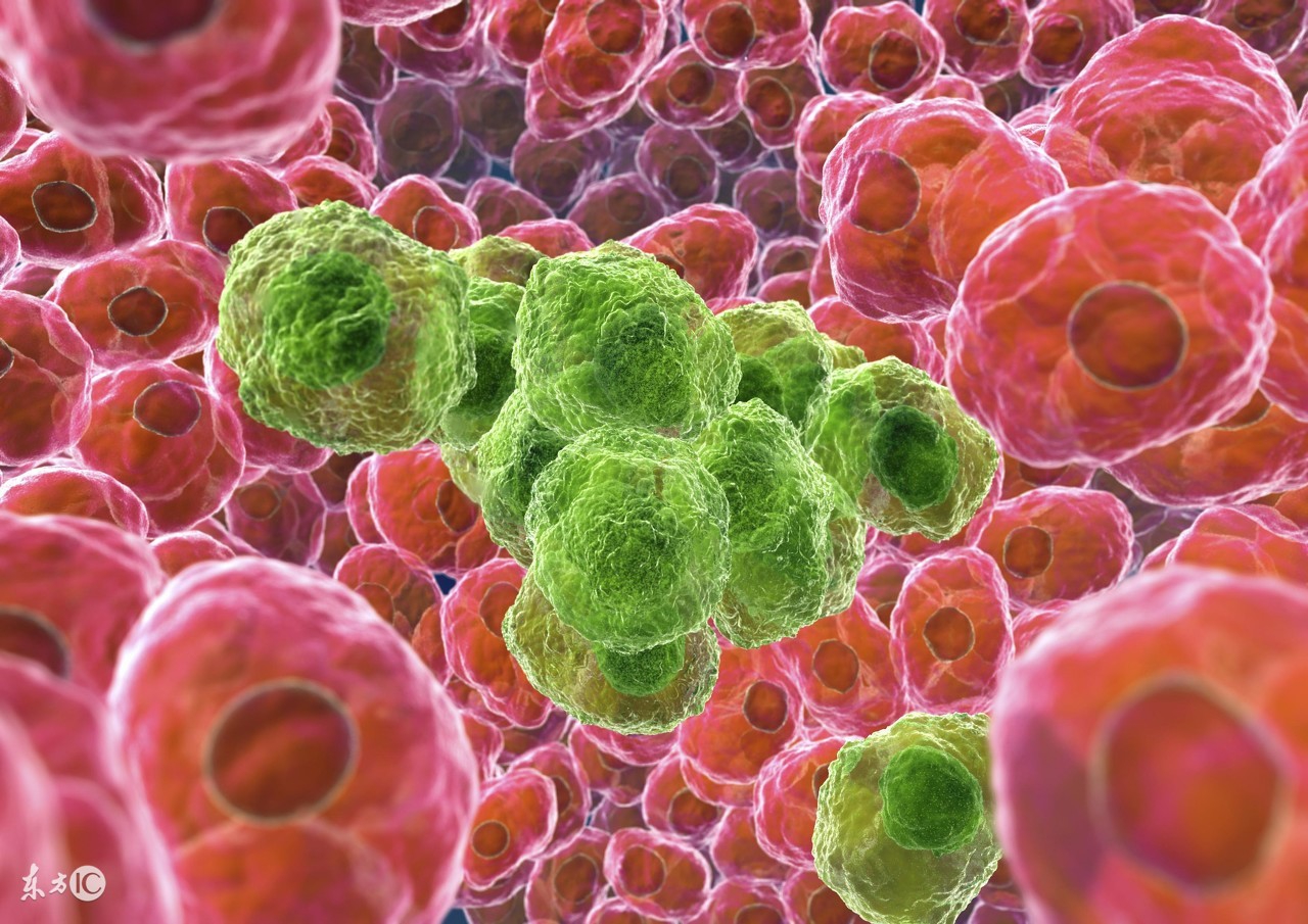 辟谷断食能饿死癌细胞吗？终于有医生站出来为我们解释了