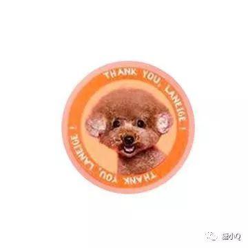 关于狗狗的彩妆,汪星人排队凑热闹