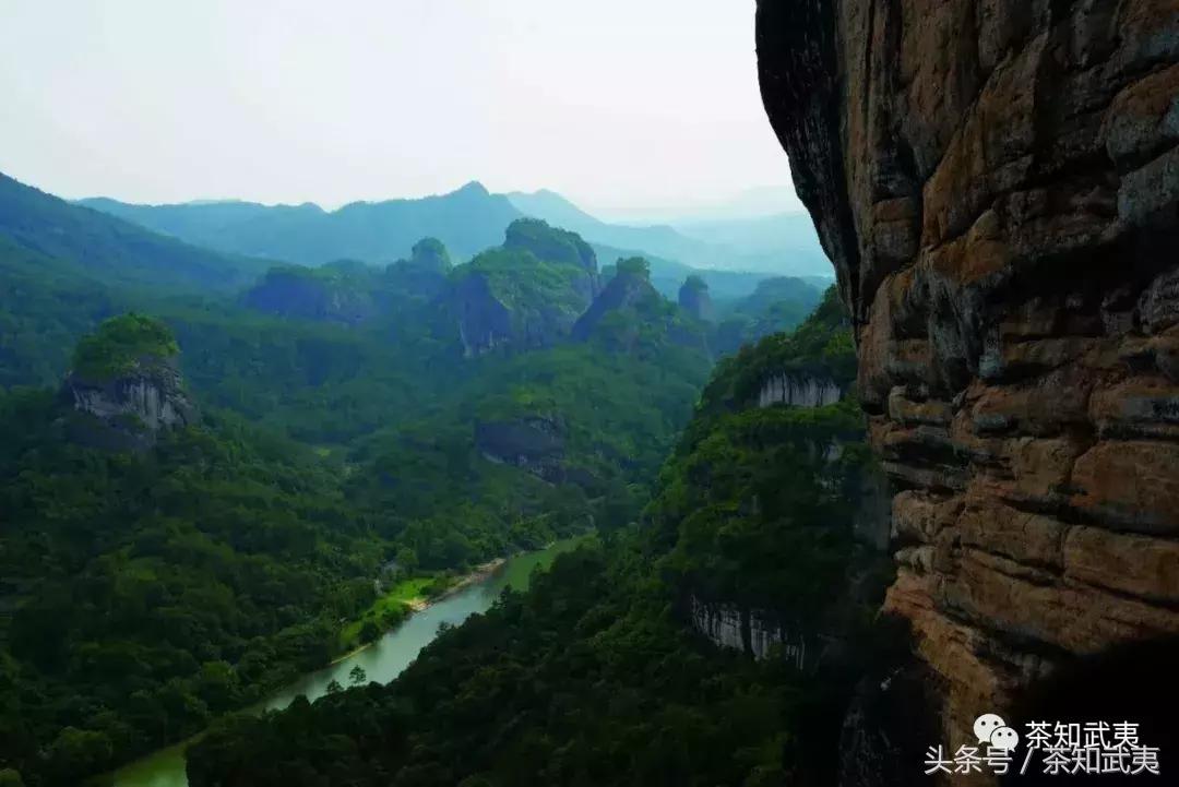 品种香、工艺香、山场香，其中的奥妙你们知道吗？