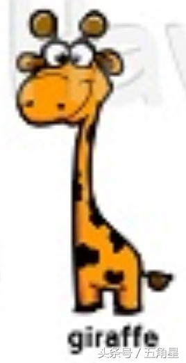 30个动物英语单词视频,动物的英语单词常见100个