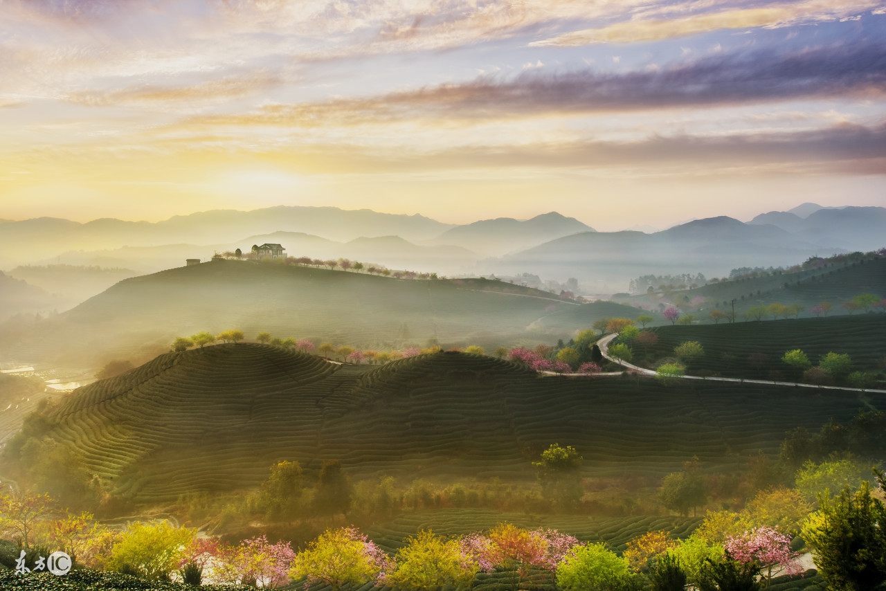 园林公司一脚踢进生态修复的大门，位列三甲