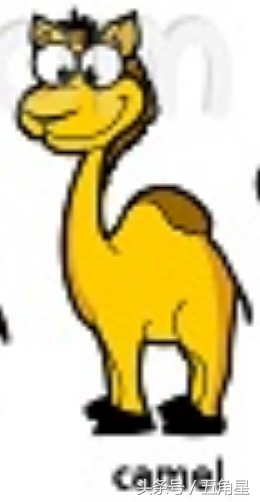 30个动物英语单词视频,动物的英语单词常见100个