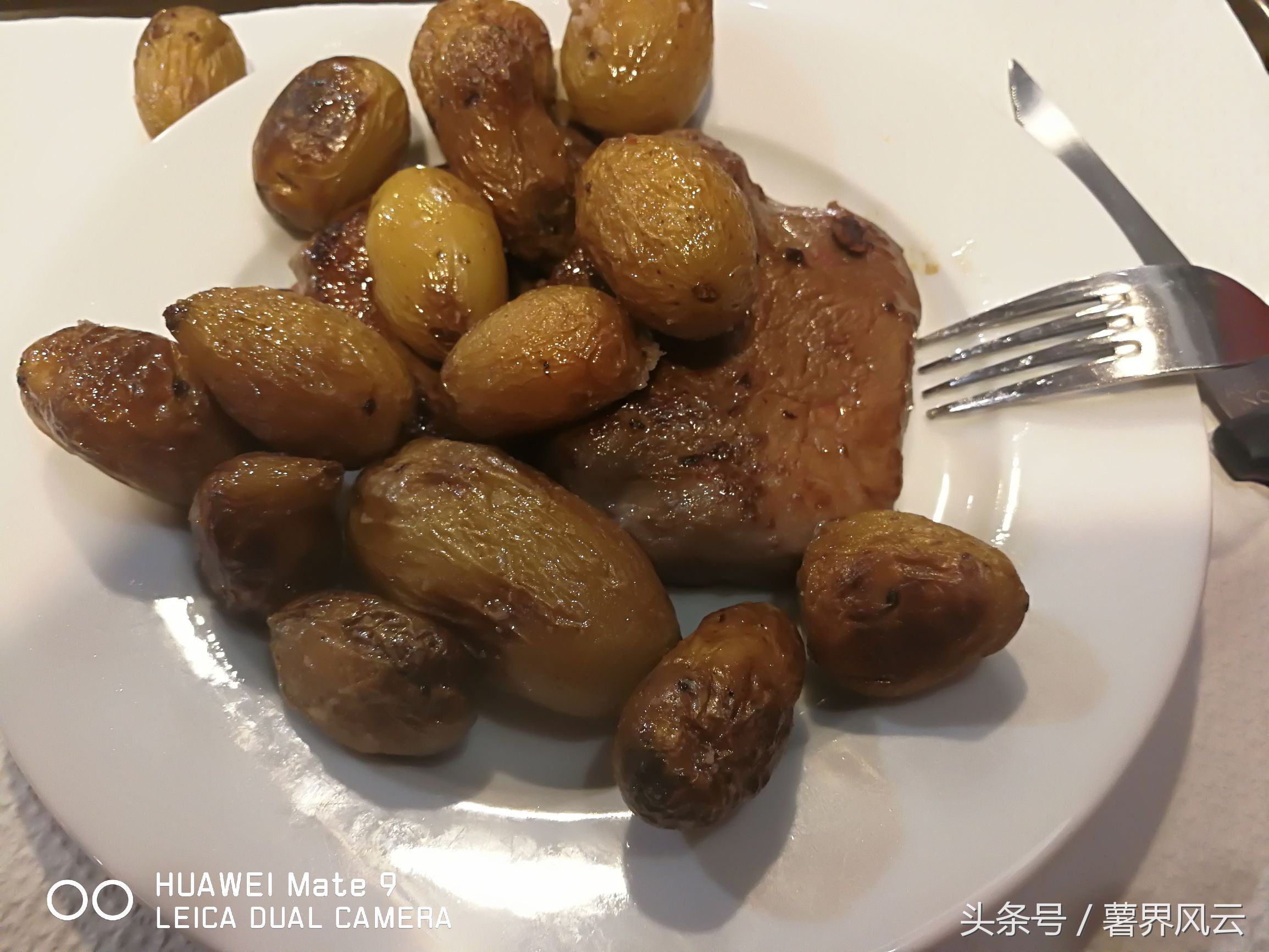 欧洲薯是什么品种 (欧洲甜薯)