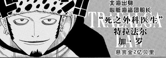 海贼王中所有的能力者,海贼王出现了多少种能力