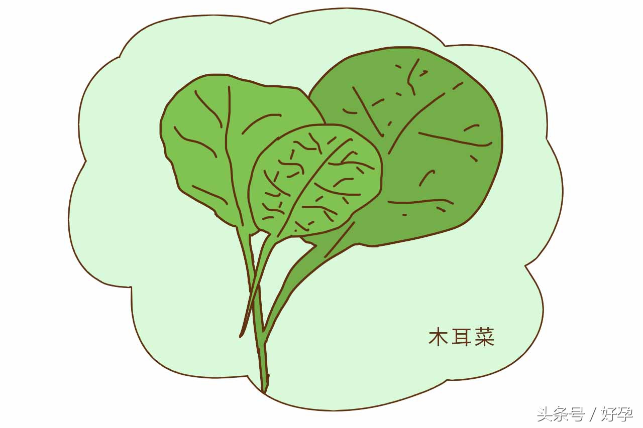 孕妇怀孕禁忌蔬菜,怀孕后必须忌口的10种食物