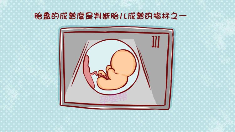 孕妈妈胎盘能成熟更快一些,胎盘成熟了胎儿才会发动吗