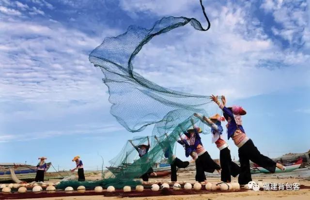 你们养的蛙现在回家了吗,养的蛙都去哪里了