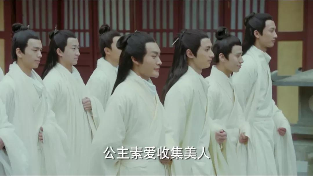 历史上有权势的公主,历史上的隐藏最深的公主