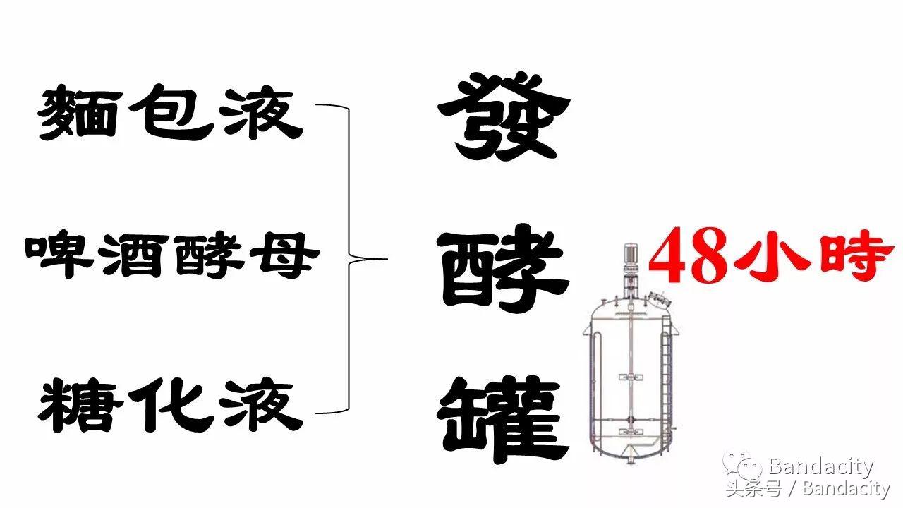 格瓦斯是哪个国家的,格瓦斯的功效与作用