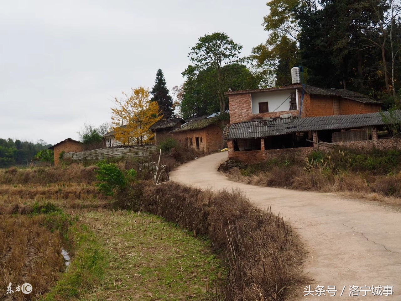 井金超长篇小说——带血渍的白衬衣（第五章）