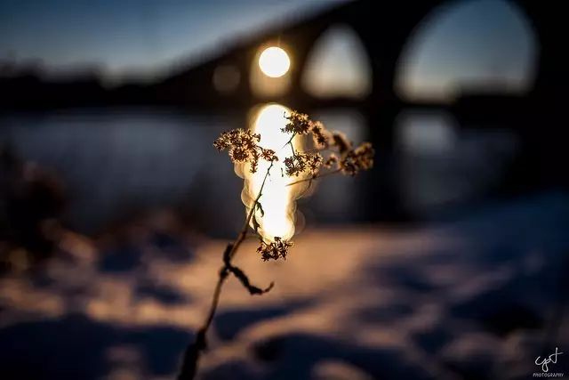 徕卡相机新手入门,徕卡怎么设置拍照效果最好