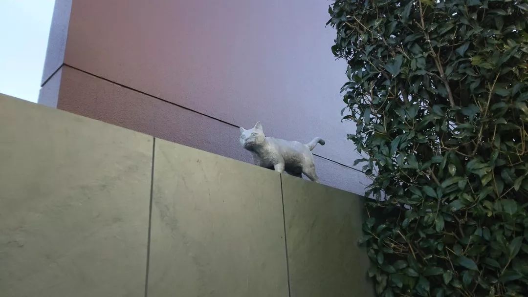 蛙儿子的旅行,蛙儿子旅行攻略