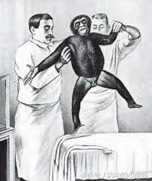 一半是科学，一半是冷血，历史上那些臭名昭著的科学实验