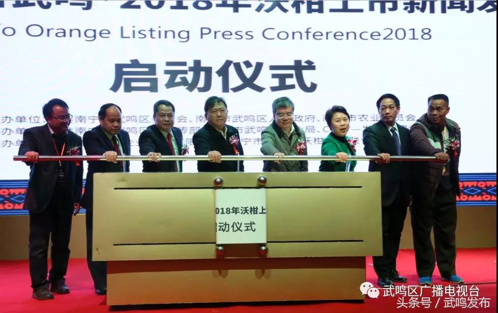 武鸣沃柑开园上市,武鸣沃柑2024发布现场