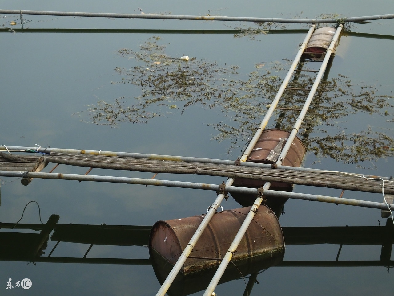 养殖水产一年几十万,水产养殖网箱可以用几年