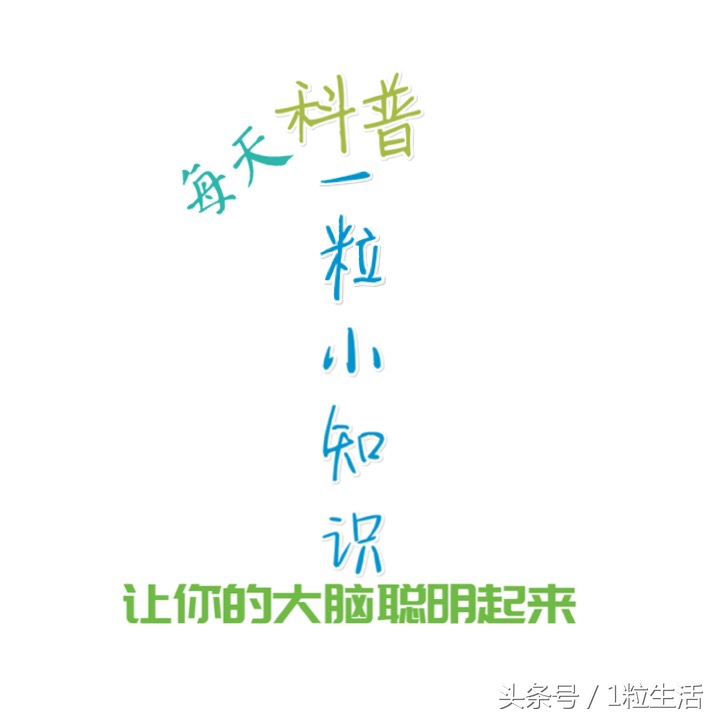 清理包包发霉,清理包包的妙招